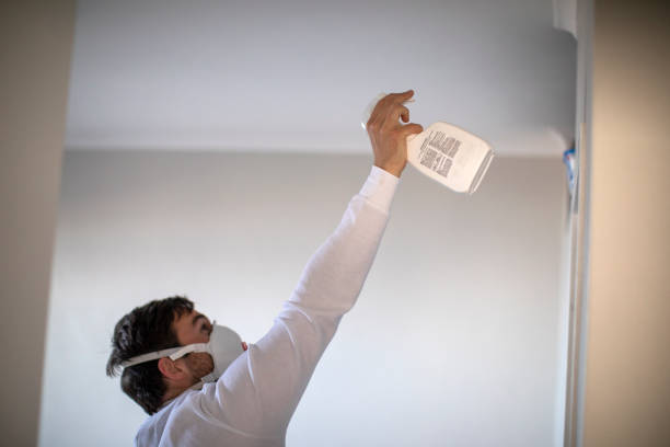 Best Commercial Mold Removal  in Somers Point, NJ