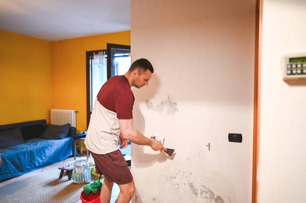 Crawl Space Mold Removal in Somers Point, NJ