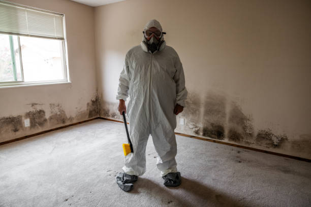 Best Mold Removal Company Near Me  in Somers Point, NJ